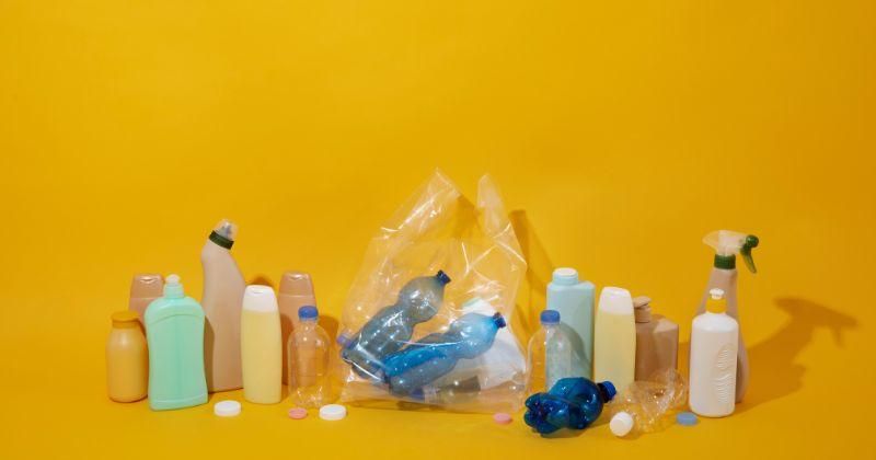 5 Tanda Ada Sarang Ular Kobra di Rumah, Waspadai Baunya